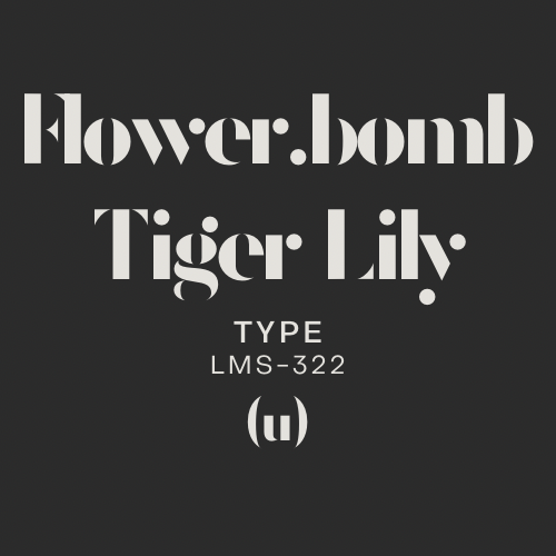 Marque Sensuelle FlowerBomb Tiger Lily Type Perfume Oil